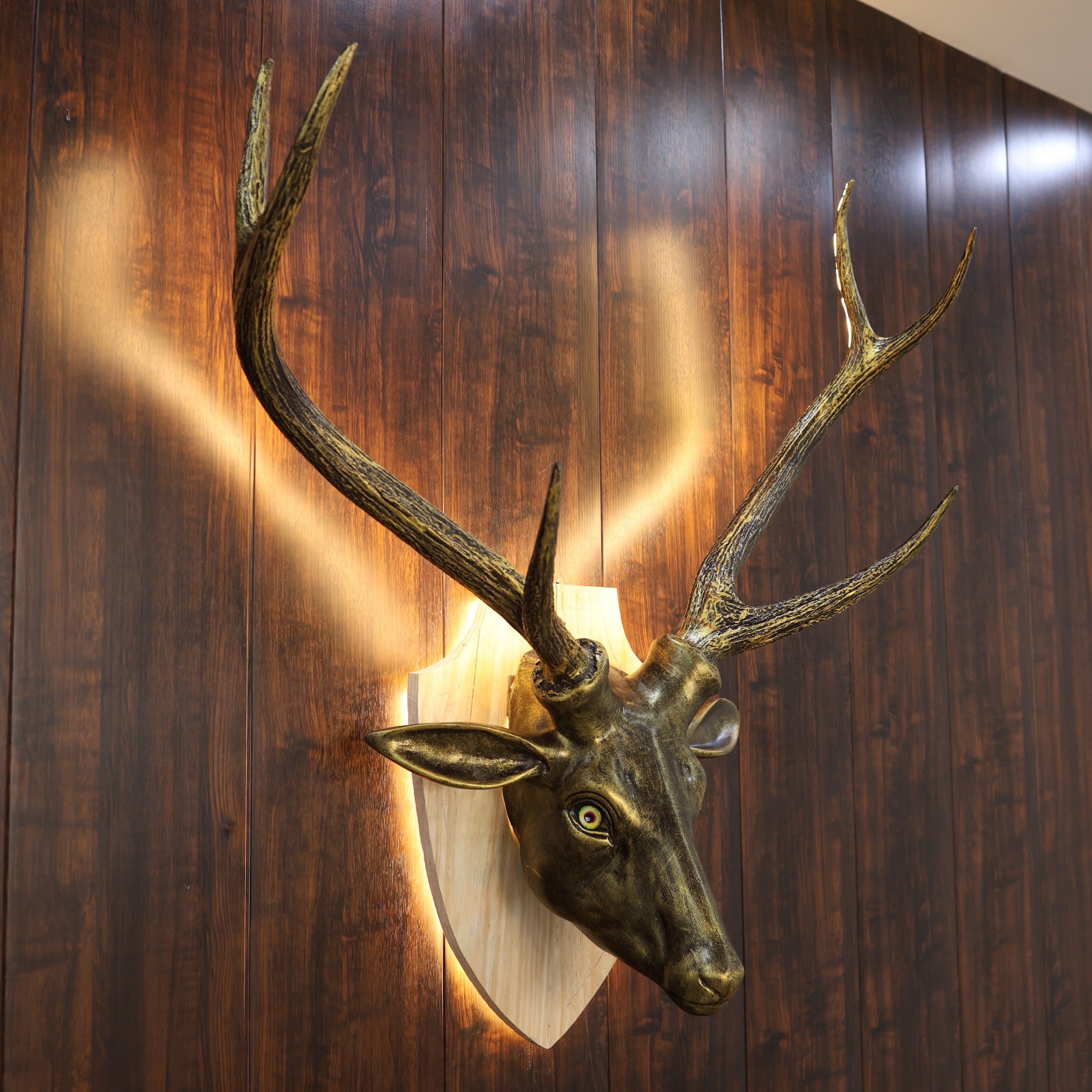 Taxidermy deer head mounted on a wooden wall